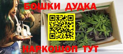дживик Шебекино