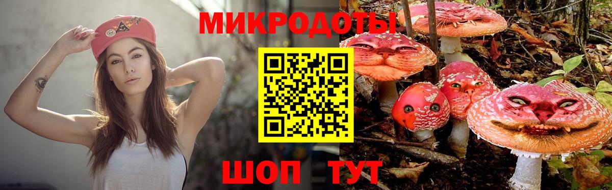 хочу   Вход с VPN  Богданович  Галлюциногенные грибы мухоморы 