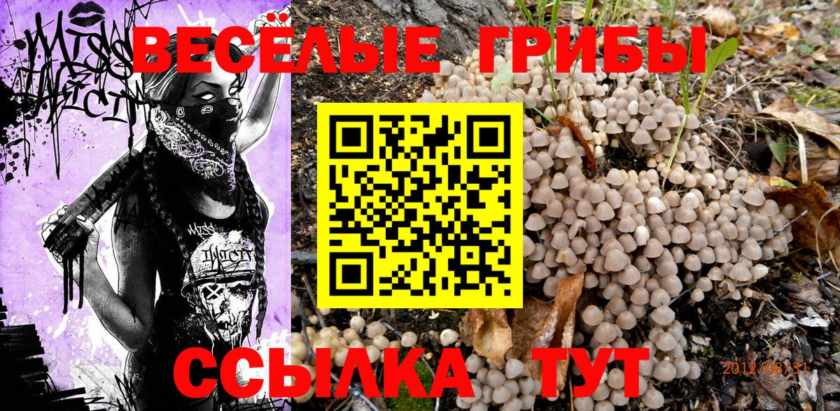 Галлюциногенные грибы мухоморы Богданович